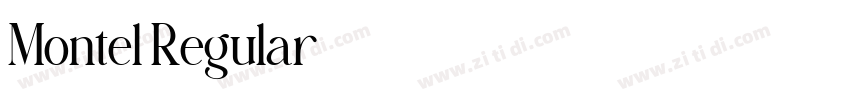 Montel Regular字体转换